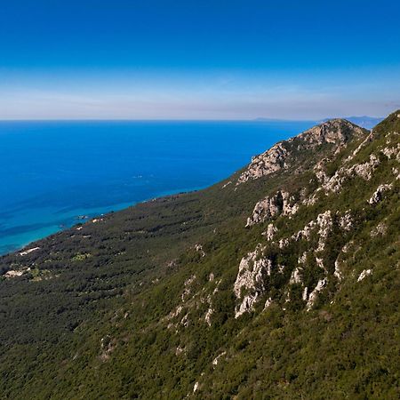 Artemis Prasoudi Beach Halikounas Exterior photo
